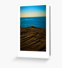 Shrub Greeting Card