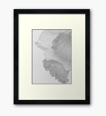 White Spring Framed Print
