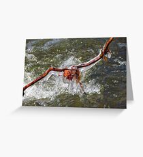 ice sculptures Greeting Card
