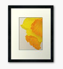 Canvas Framed Print