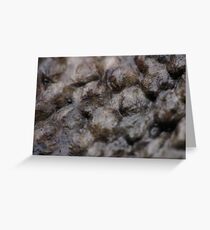 What is it! Solved by Chris75 Greeting Card
