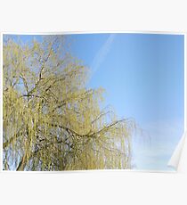 nature Poster