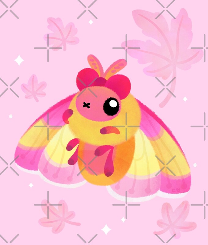 "Rosy Maple Moth" by pikaole | Redbubble