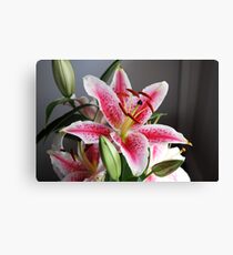 Flower Stargazer Lily Leinwanddruck
