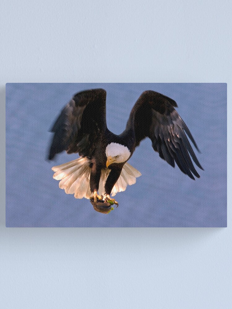 Alternate view of Holding Firm Canvas Print