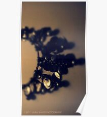 ACCESSORY 1 Poster