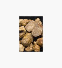 Oregon White Truffles # 3 Art Board