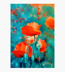 Poppies Photographic Print