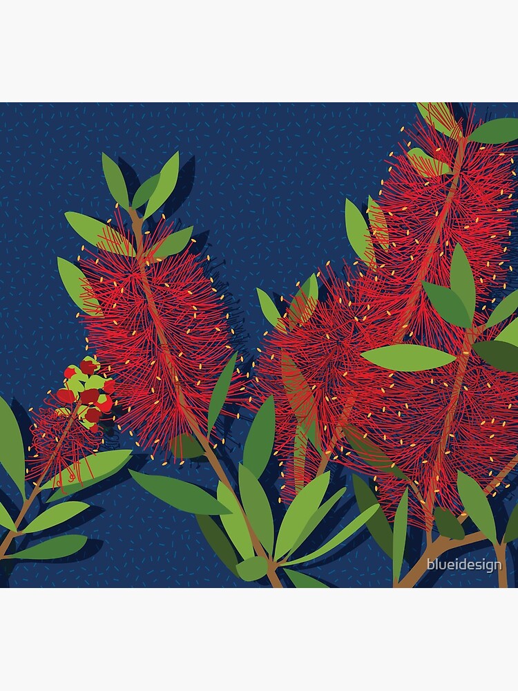 Red Bottlebrush Flowers by blueidesign