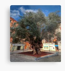 Photomatix-Tennis Metal Print