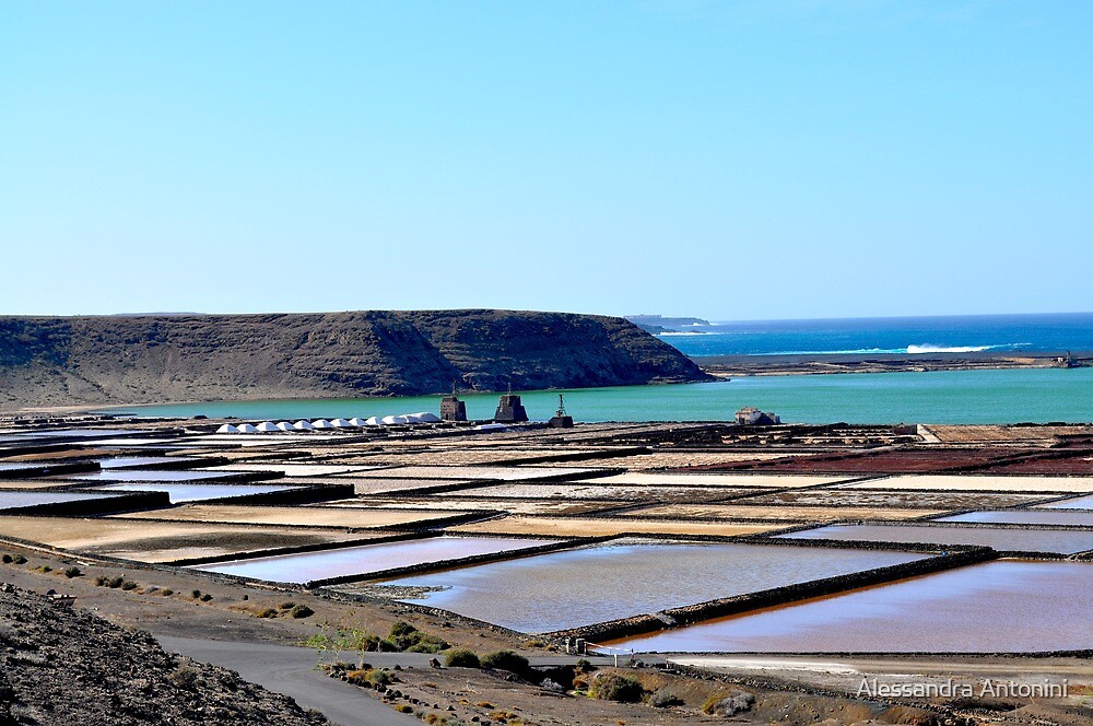 Morning on the salt flats of Janubio Lanzarote Canary Island by Alessandra Antonini