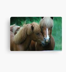 Companionship Canvas Print