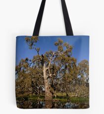 mount william creek Tote Bag