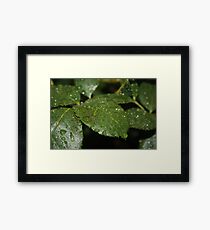 Leaf Macro Framed Print