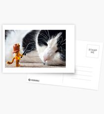 Katzenfrau Postkarten