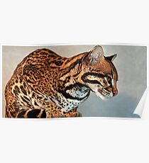 Ocelot Poster