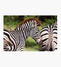 Close-Knit Family Photographic Print