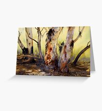 River Red Gum, Flinders Ranges, South Australia Greeting Card