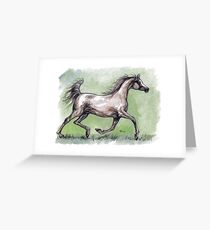 grey arabian horse Greeting Card