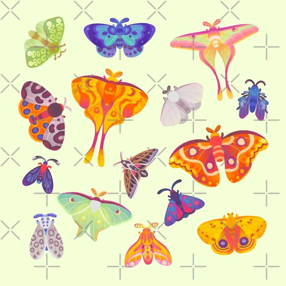 "Moth pastel" by pikaole Redbubble