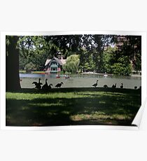 The Harlem Mere -Central Park Poster