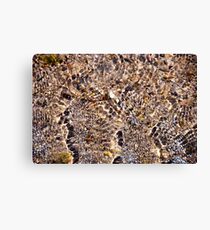 Ripples and Reflections Canvas Print