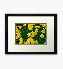 Flowers Framed Print