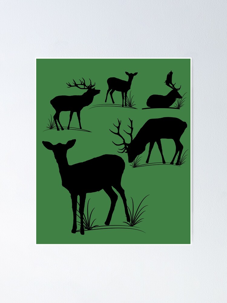 Alternative Ansicht von Hirsch, Reh, Rotwild, Damwild, Tiere, Hirsche, Rehbock, Jagd, Geweih Poster
