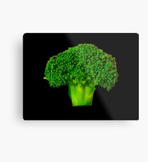 Broccoli Metal Print