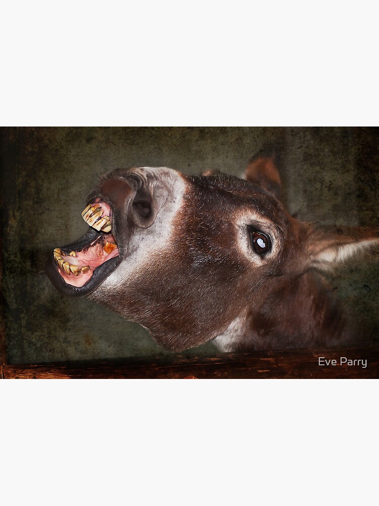 Quit Smoking! or have teeth like mine by AdamsWife