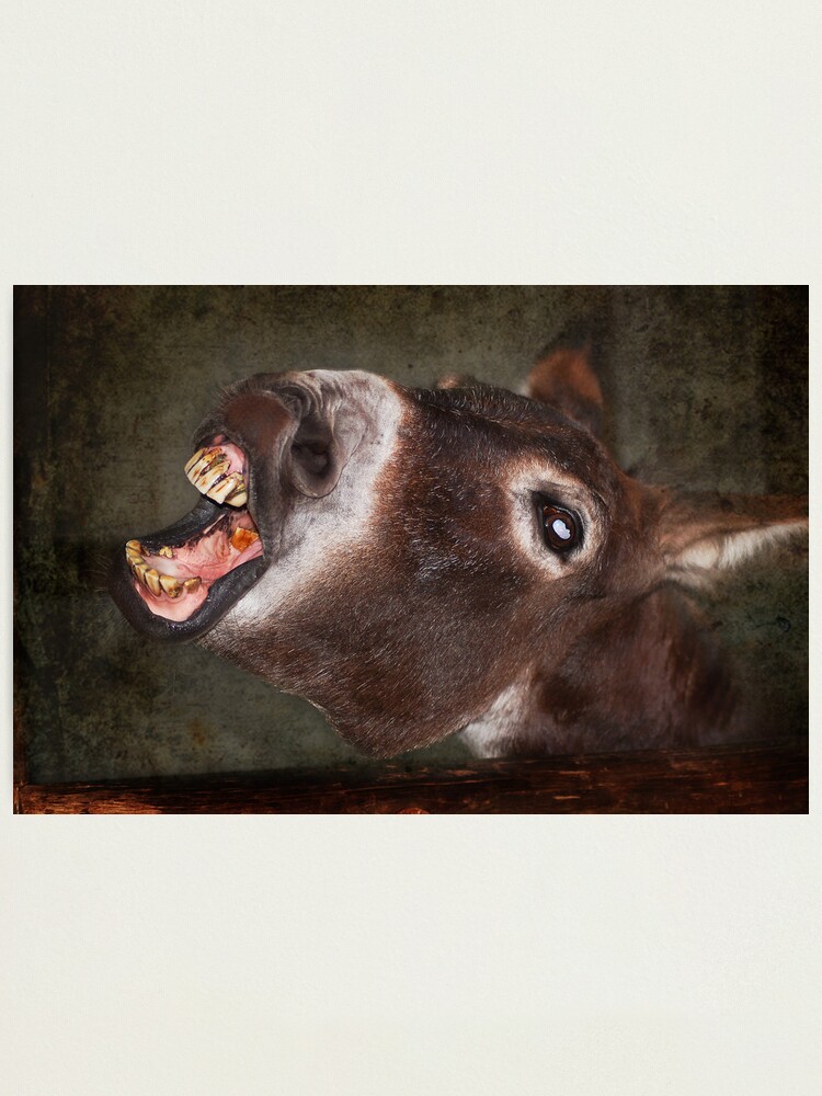 Alternate view of Quit Smoking! or have teeth like mine Photographic Print