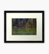 Spring Green Framed Print