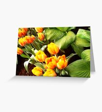 Evening Orange Greeting Card