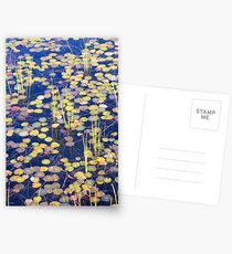 Floating Postcards