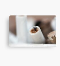 Healthy? Canvas Print
