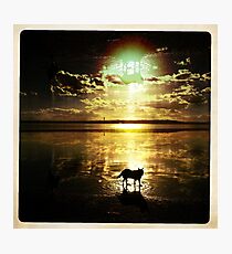 Dream shadow Photographic Print