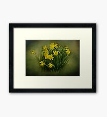 Daffodils Framed Print