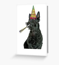 Scottish Terrier Birthday Greeting Card