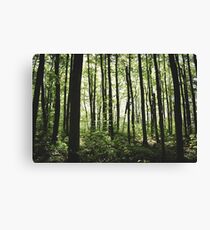 Stilts Canvas Print