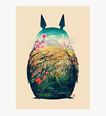 Tonari No Totoro Photographic Print