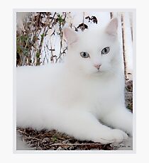 Casper Maxwell Snow Photographic Print