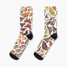 Saturniid Moths of North America Pattern Socks