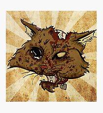 Zombie Cat Photographic Print
