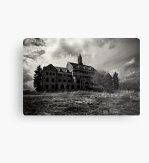 Asylum Metal Print