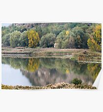landscape lake Poster