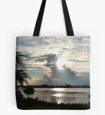 The silver zone Tote Bag