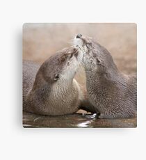 Otter kisses Metal Print