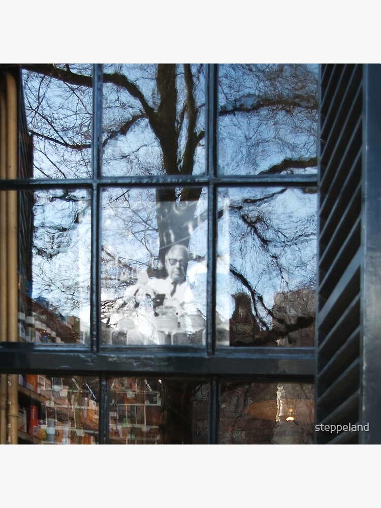 Memoires of a pharmacist by steppeland