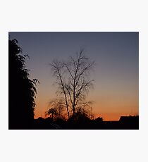 good night Photographic Print