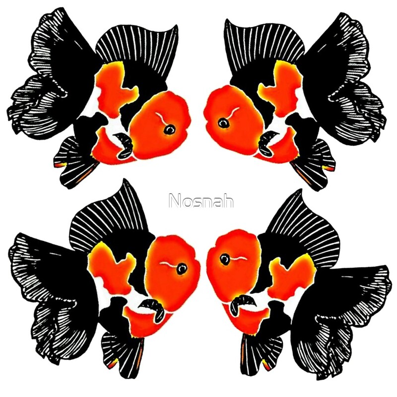 Tri Color Oranda Goldfish Logo In Four By Nosnah Redbubble